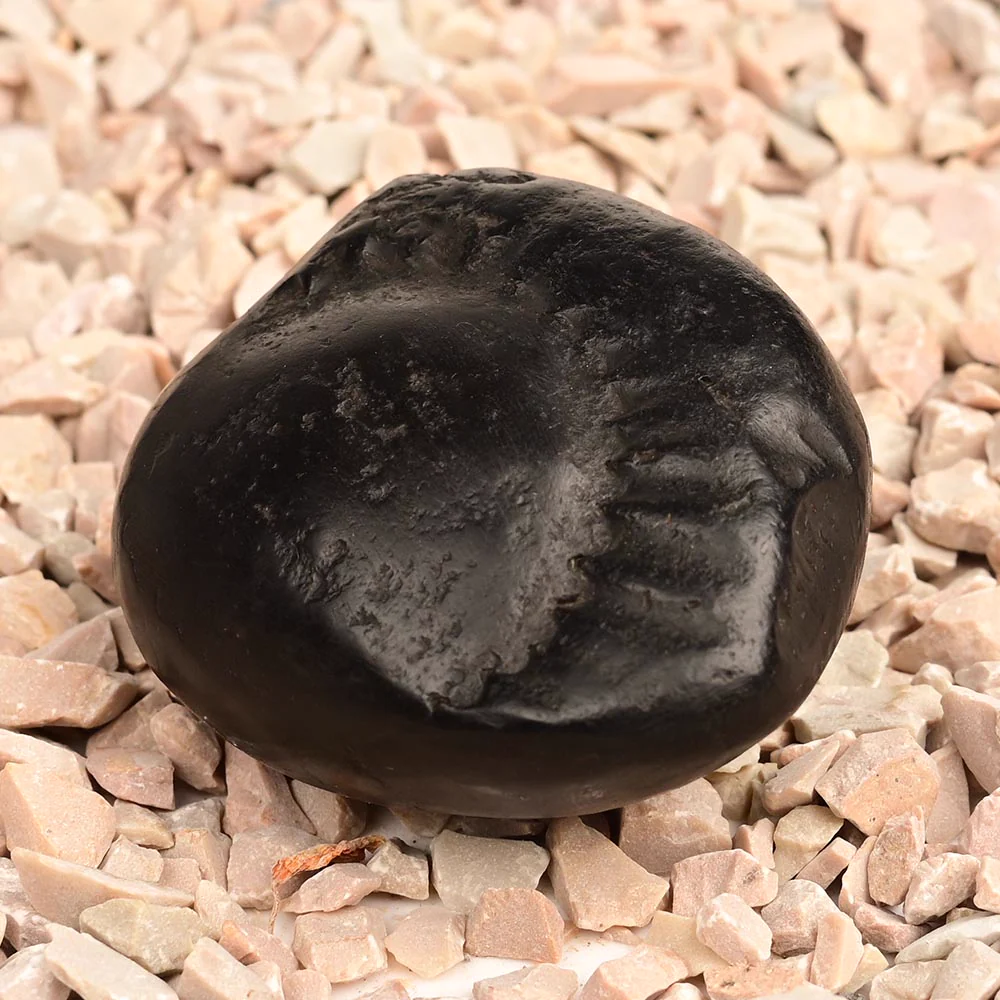 Surya Laxmi Shaligram Shila — 85 g — view 2