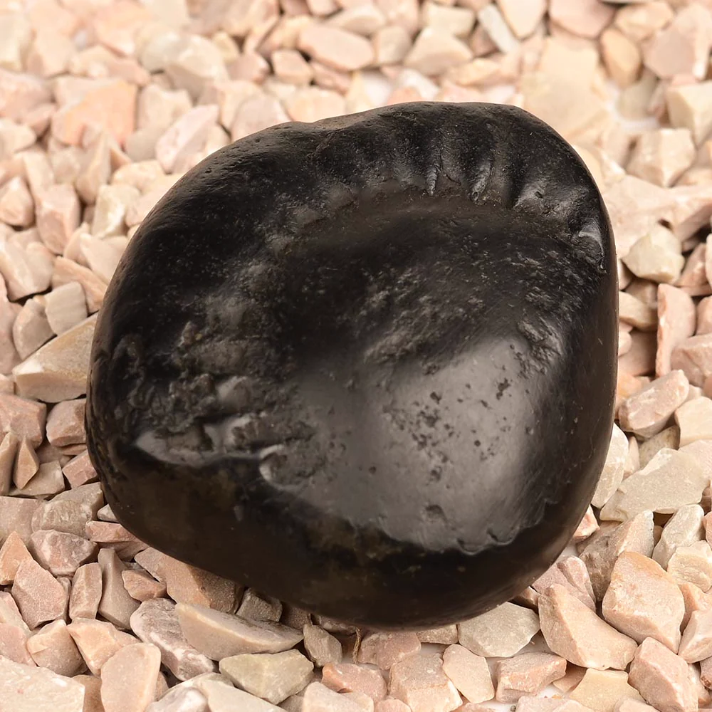 Surya Laxmi Shaligram Shila — 85 g — view 3