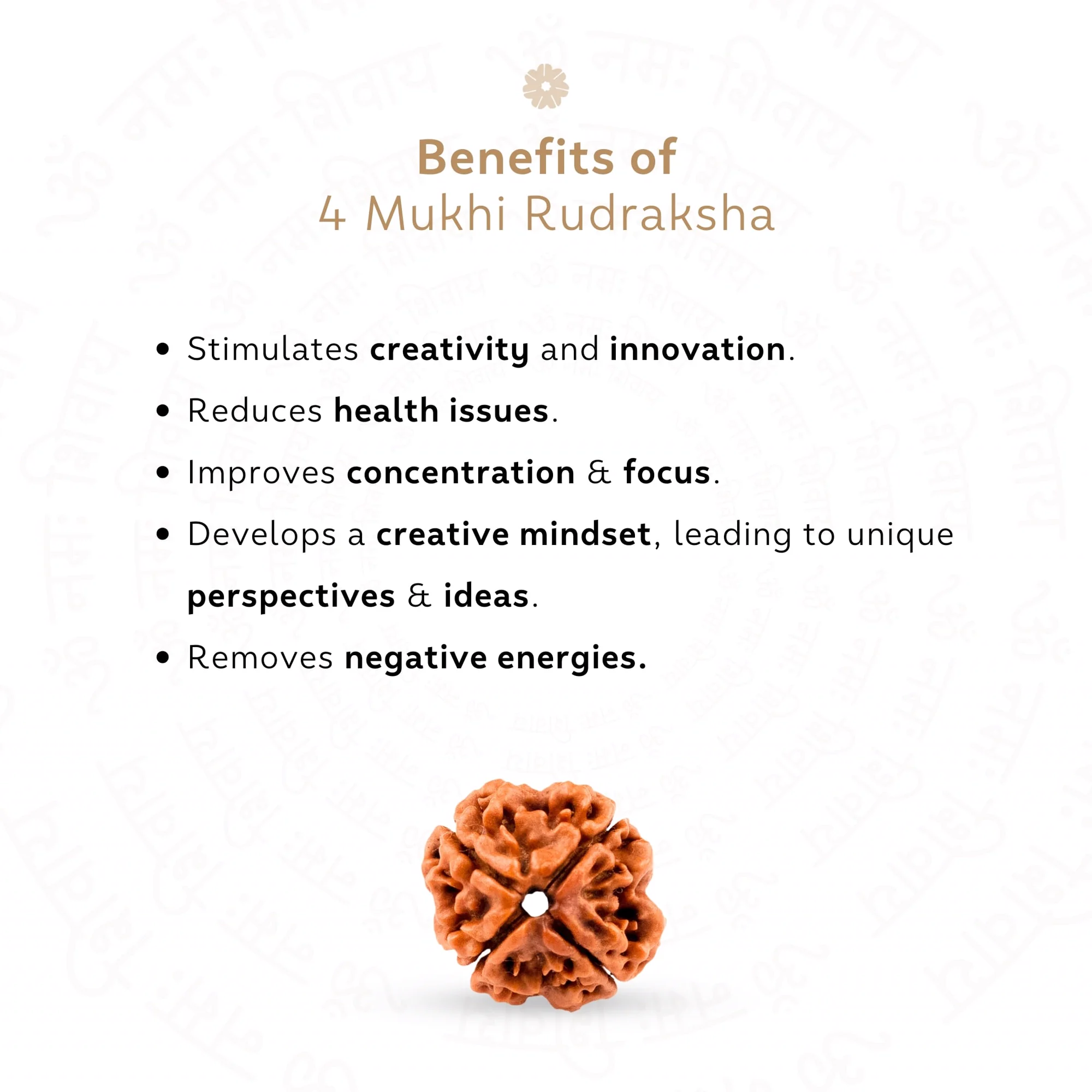 4 Mukhi Rudraksha ( Nepali ) — Nepal photo 3