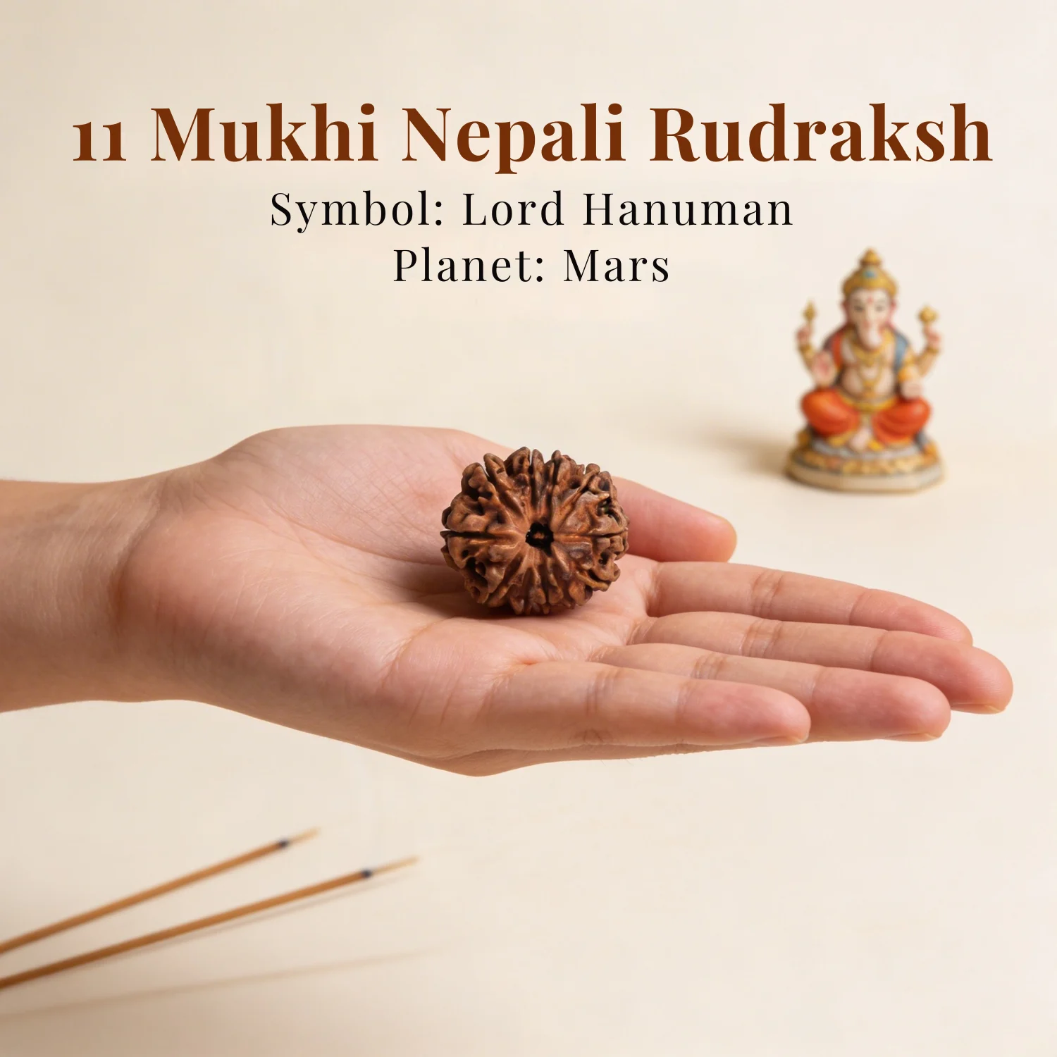 11 Mukhi Nepali Rudraksha