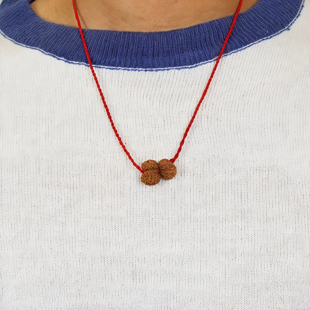 Shukra-Shani Vyapar Rajyog Kavach – 13 & 14 Mukhi Rudraksha — Nepal photo 5