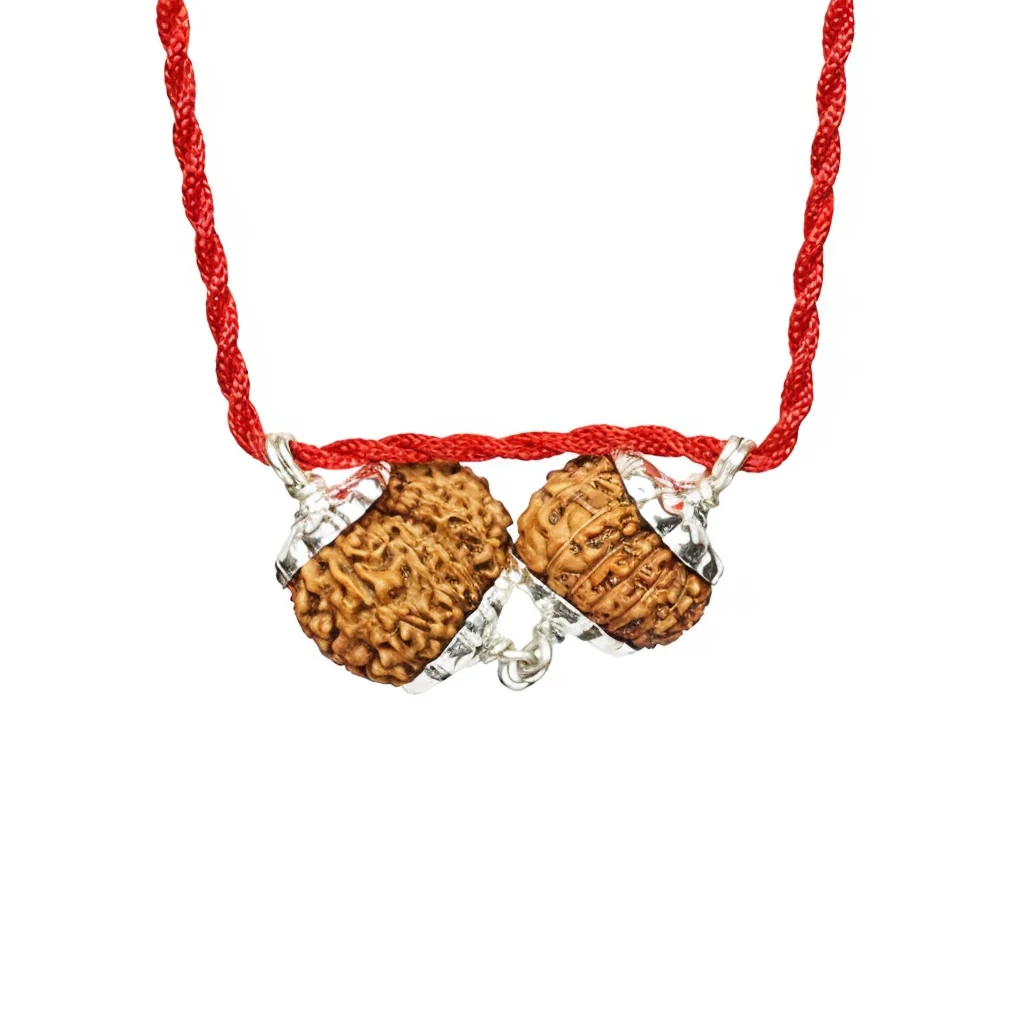 Shukra-Shani Vyapar Rajyog Kavach – 13 & 14 Mukhi Rudraksha — Nepal photo 4