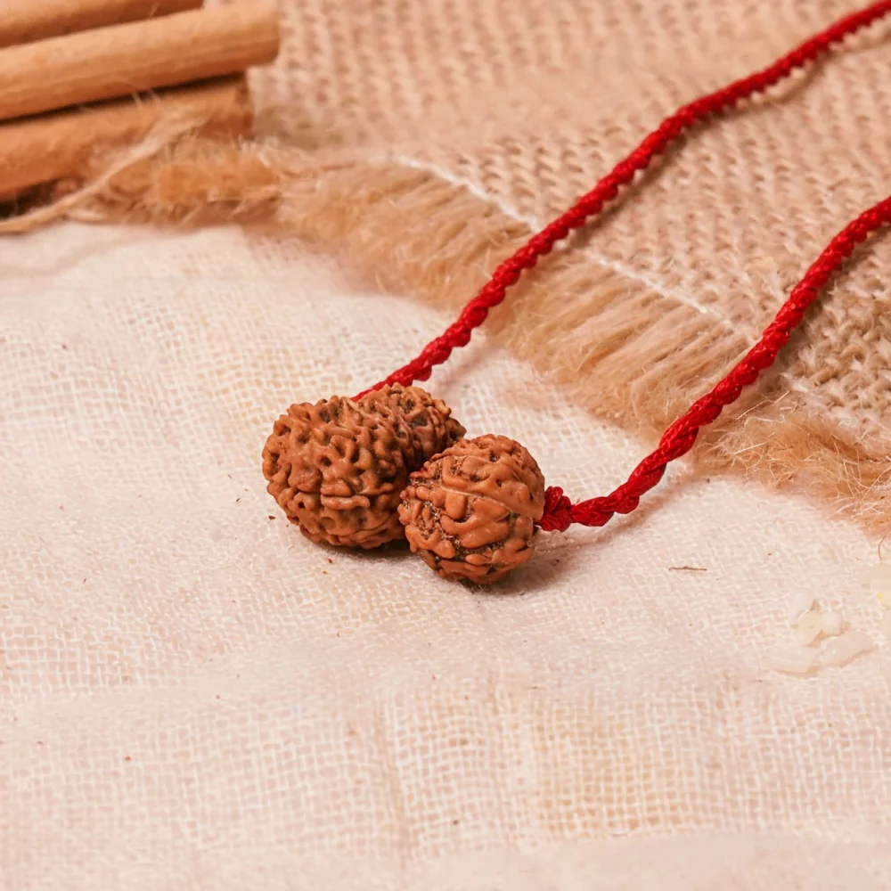 Shukra-Shani Vyapar Rajyog Kavach – 13 & 14 Mukhi Rudraksha — Nepal photo 2