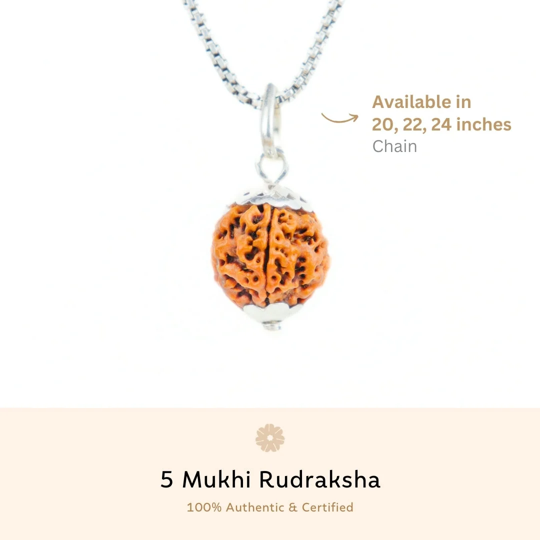 5 Mukhi Rudraksha Silver Capping Pendant ( Nepali ) — Nepal photo 3