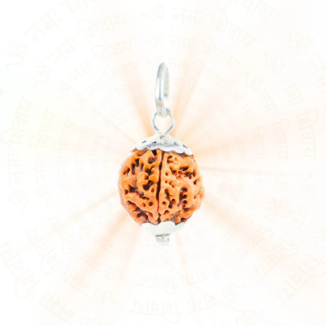 5 Mukhi Rudraksha Silver Capping Pendant ( Nepali ) — Nepal photo 2