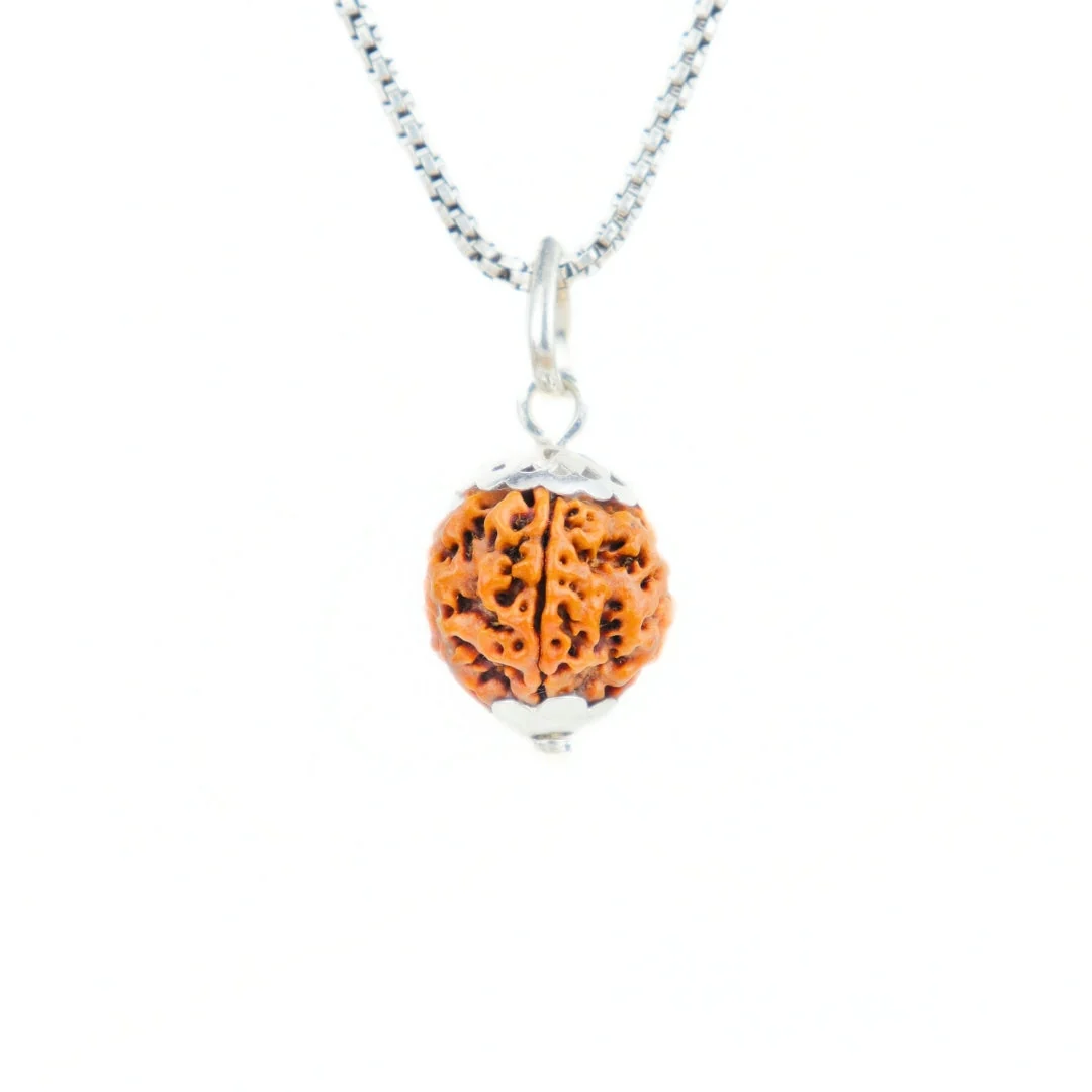 5 Mukhi Rudraksha Silver Capping Pendant ( Nepali )