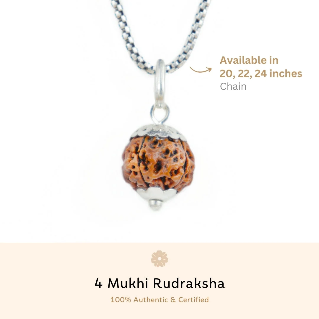 4 Mukhi Rudraksha Silver Capping Pendant ( Nepali ) — Nepal photo 3