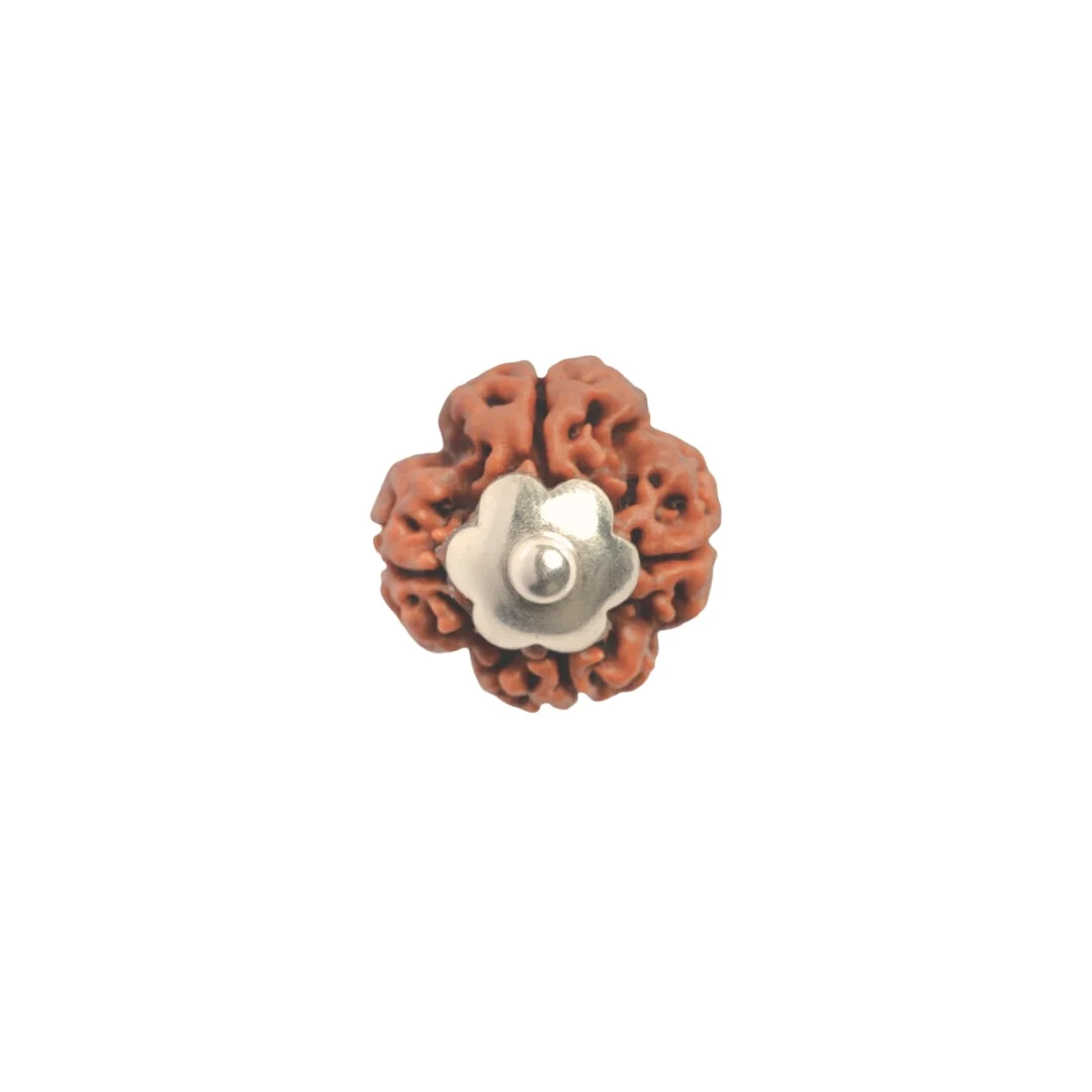 4 Mukhi Rudraksha Silver Capping Pendant ( Nepali ) — Nepal photo 4