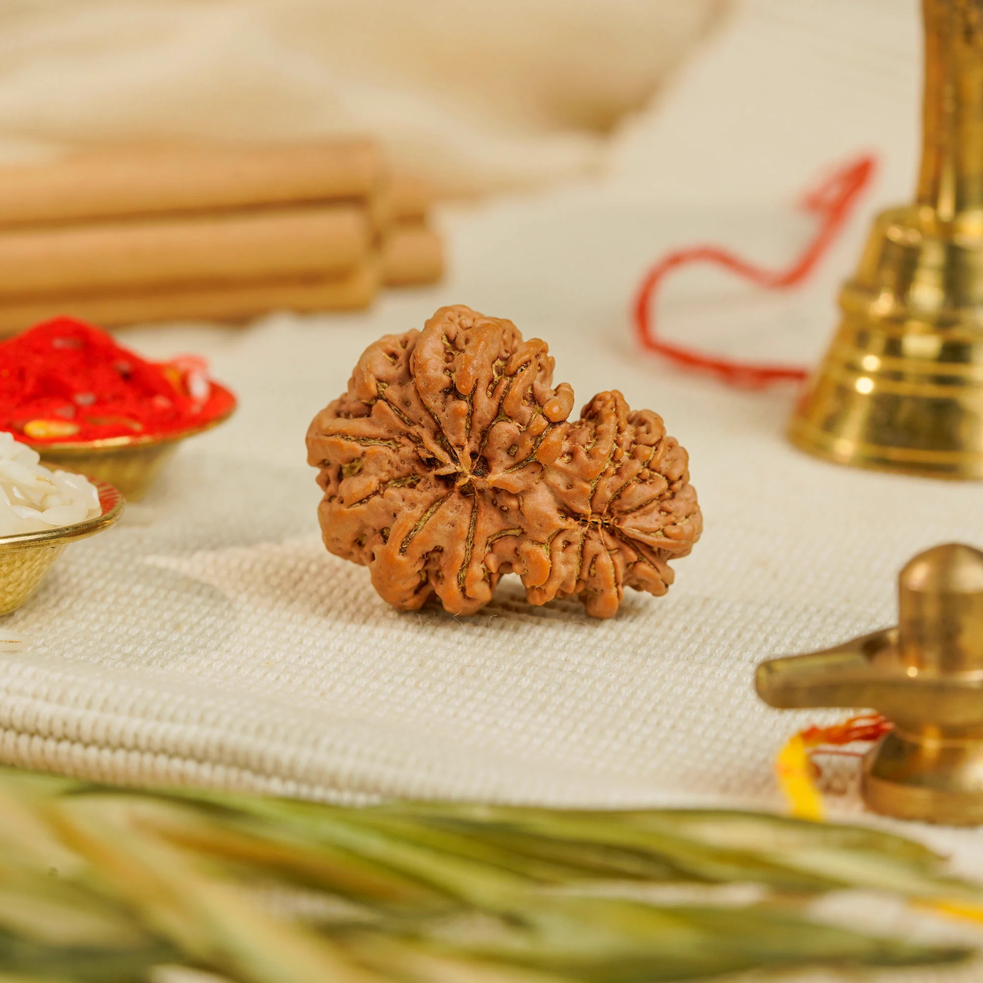 17 Mukhi Gauri Shankar Rudraksha – Original Nepali Collector Bead — Nepal photo 2