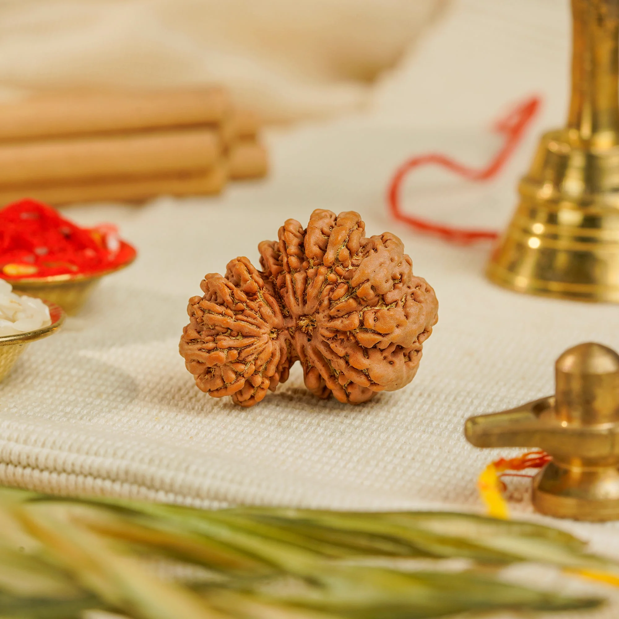 17 Mukhi Gauri Shankar Rudraksha – Original Nepali Collector Bead