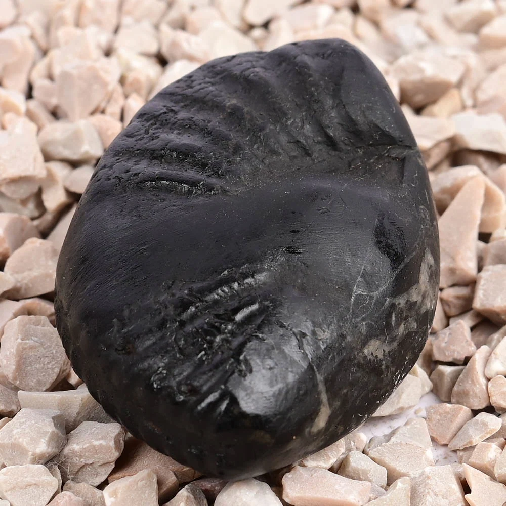 Crystal Kalpavriksha Krishna Laxmi Shaligram Shila — view 2