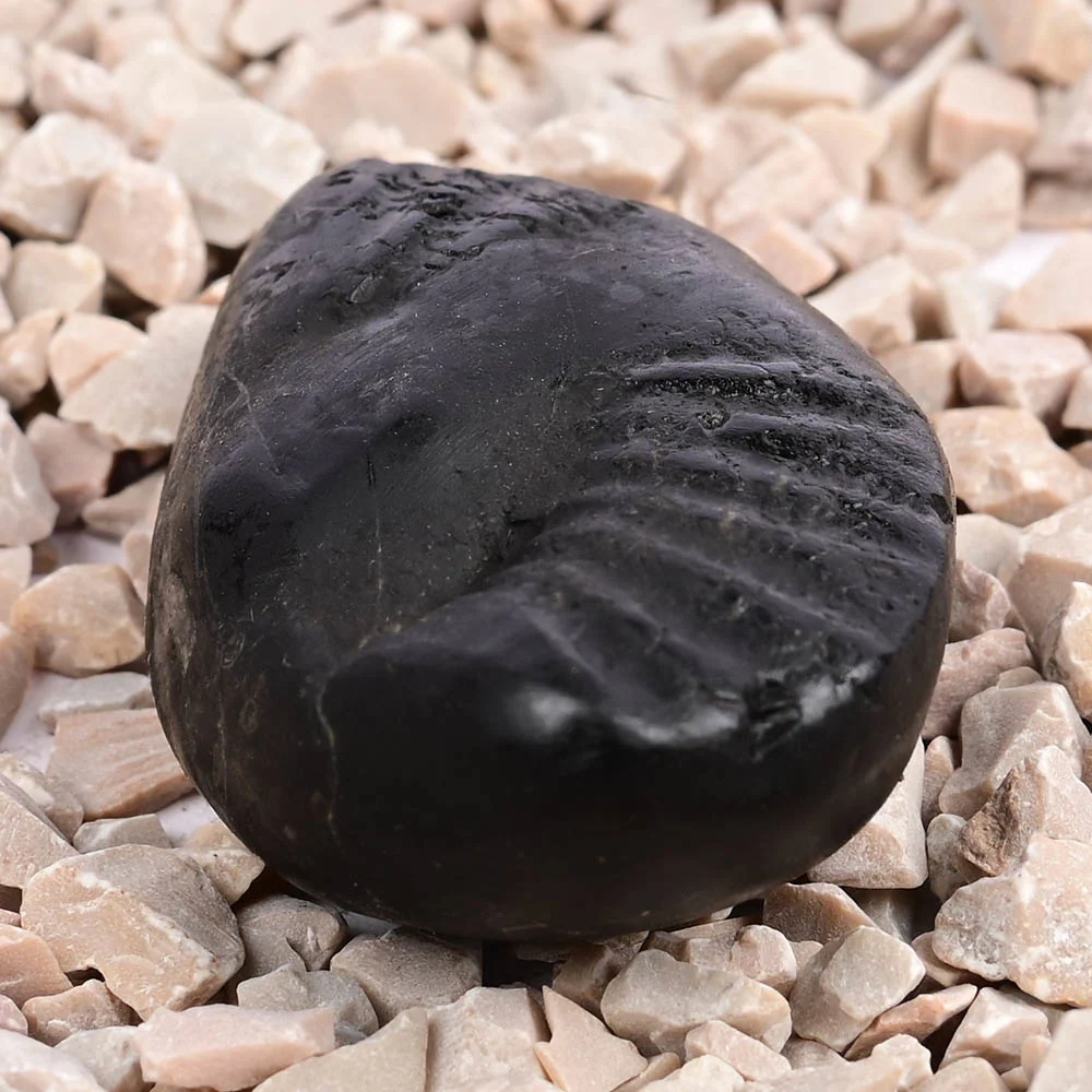 Crystal Kalpavriksha Krishna Laxmi Shaligram Shila — view 3
