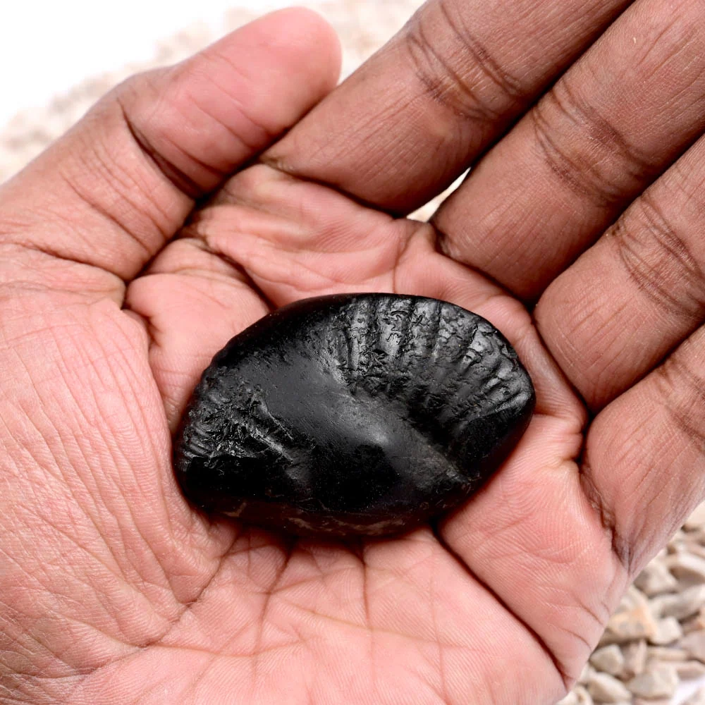 Crystal Kalpavriksha Krishna Laxmi Shaligram Shila — view 7