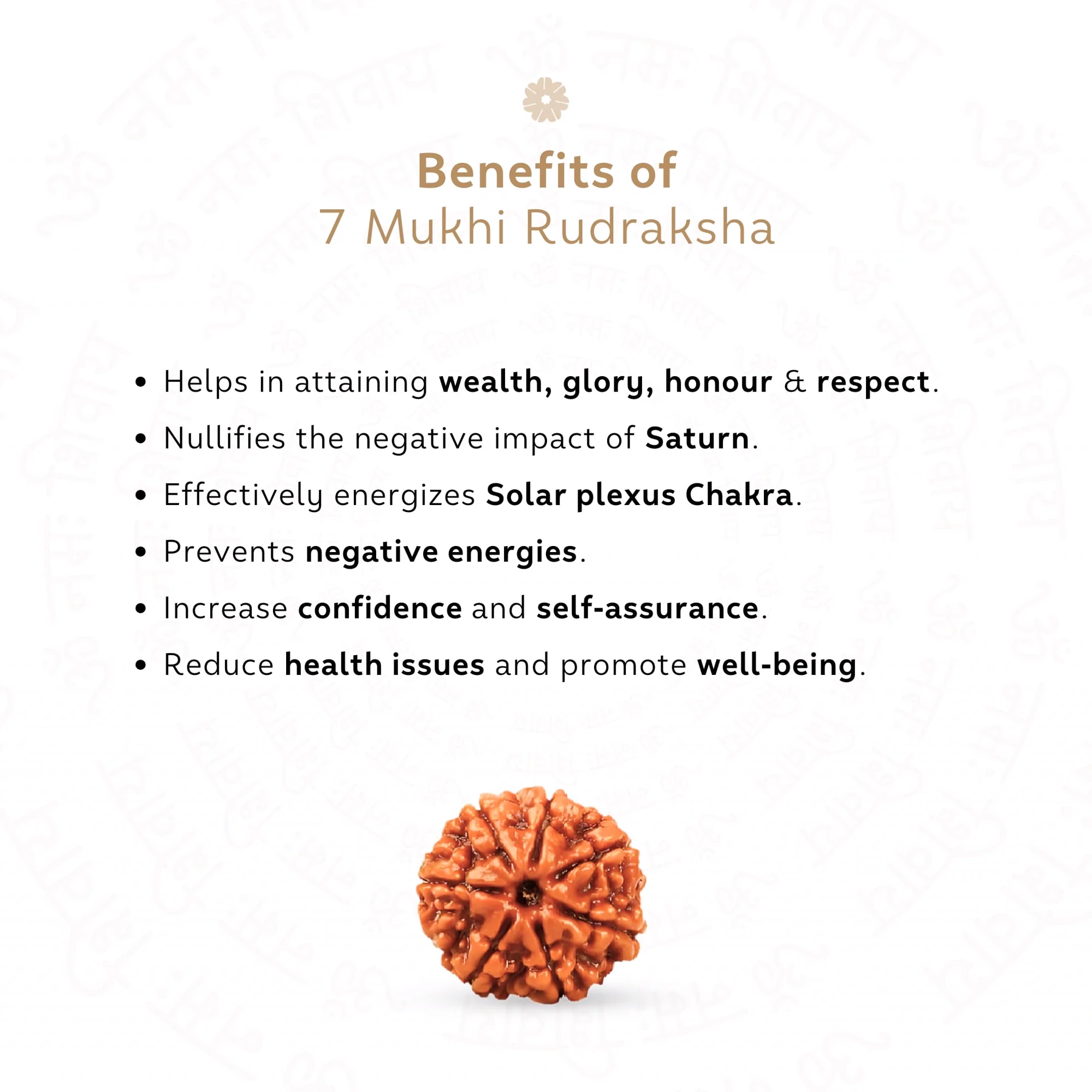 7 Mukhi Rudraksha ( Nepali ) — Nepal photo 3