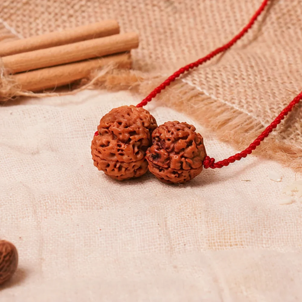 Budh-Guru Buddhi Vriddhi Kavach – 4 & 5 Mukhi Rudraksha — Nepal photo 2