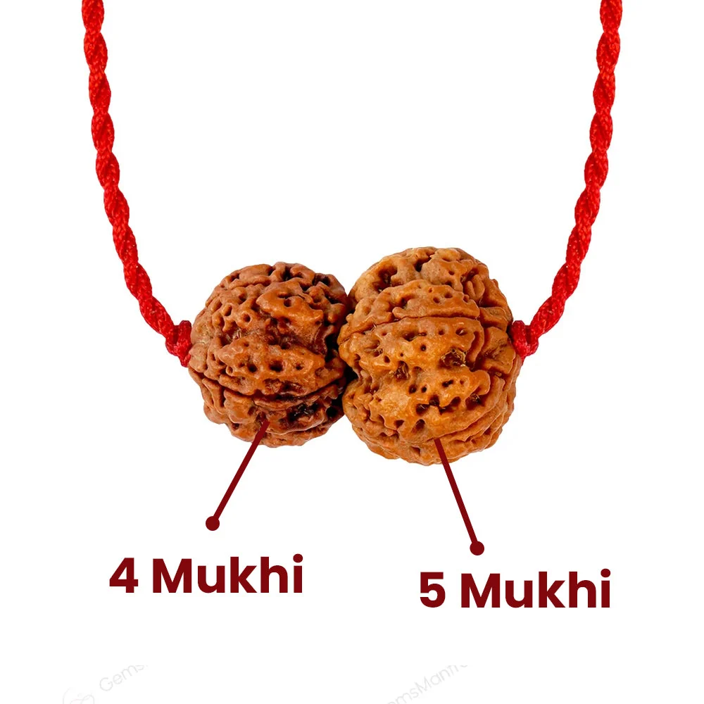 Budh-Guru Buddhi Vriddhi Kavach – 4 & 5 Mukhi Rudraksha — Nepal photo 3
