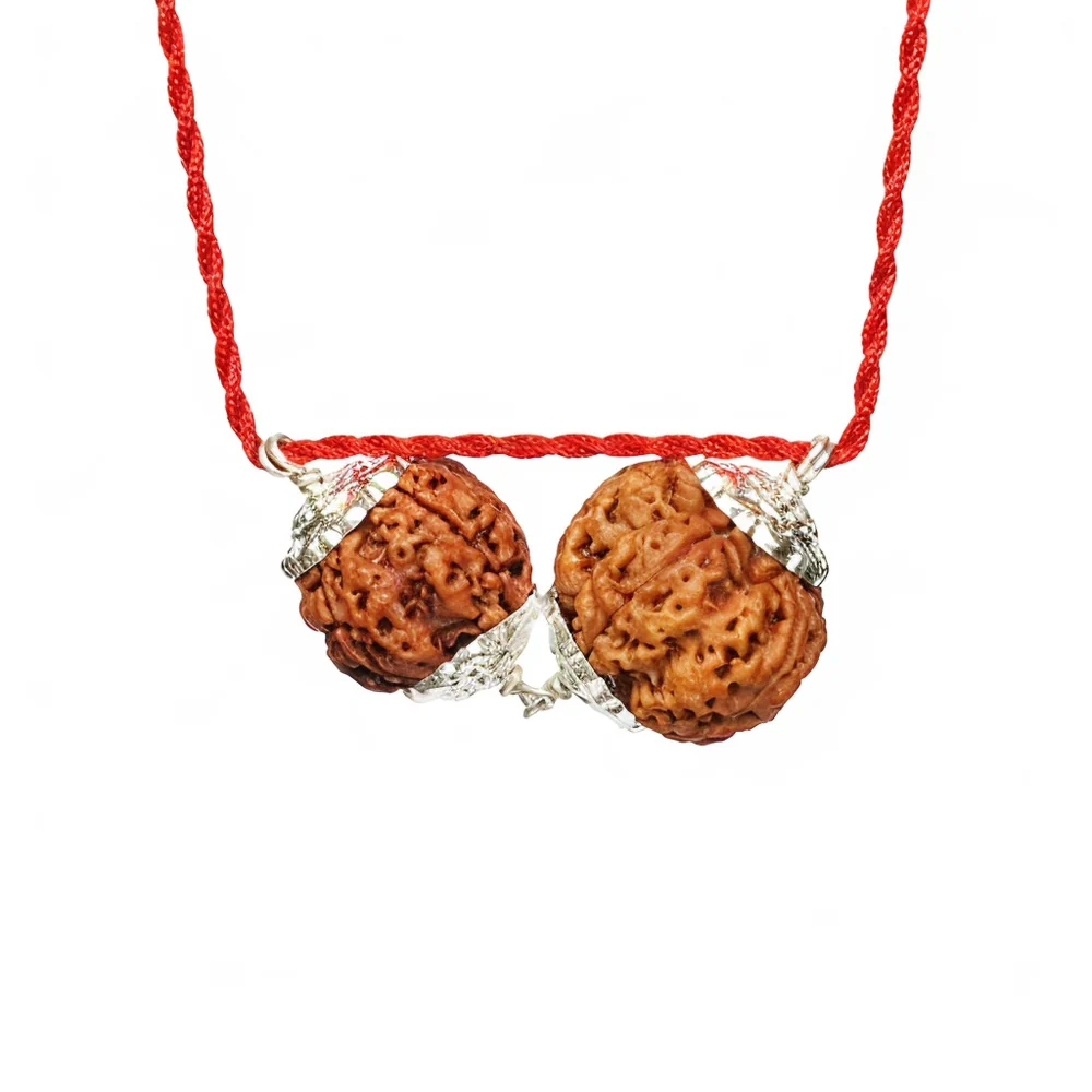 Budh-Guru Buddhi Vriddhi Kavach – 4 & 5 Mukhi Rudraksha — Nepal photo 4