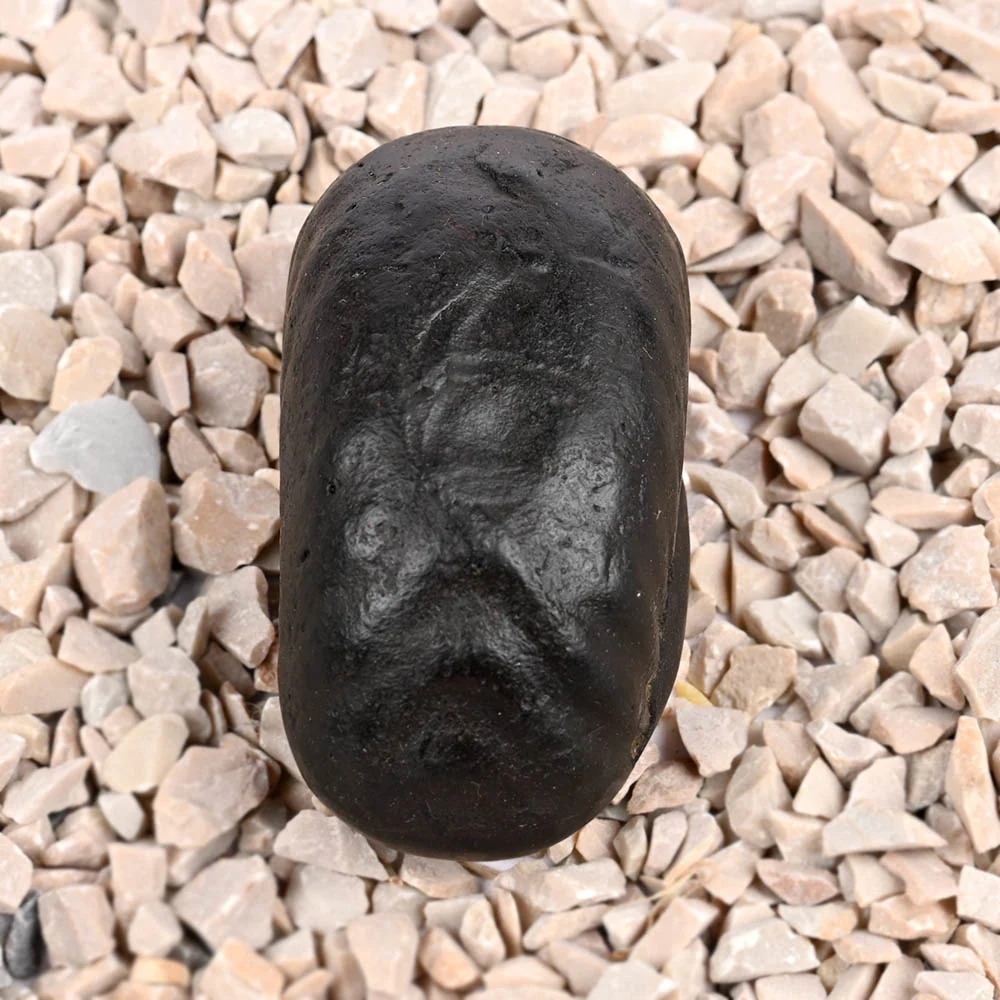 Laxmi Kuber Shaligram Shila — 89 g — view 5