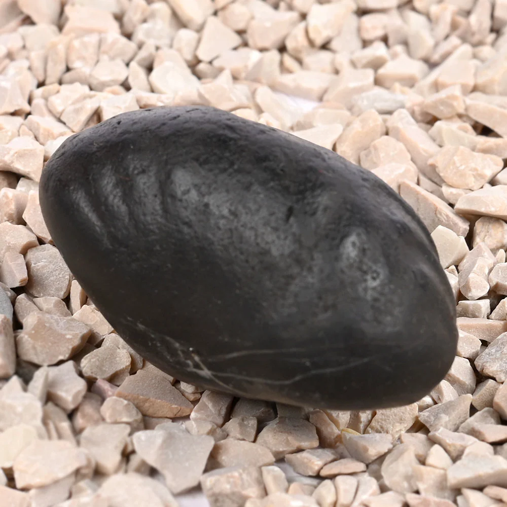 Laxmi Kuber Shaligram Shila — 89 g — view 6