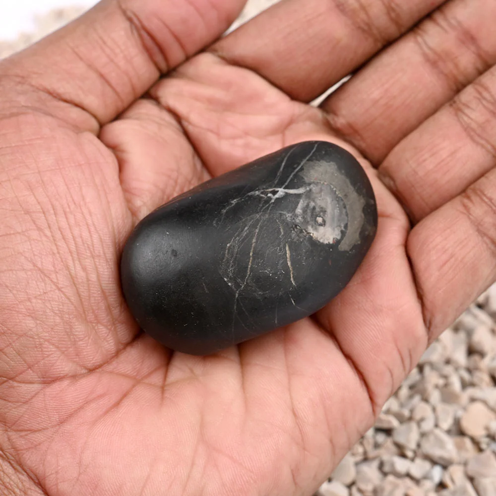 Laxmi Kuber Shaligram Shila — 89 g — view 8