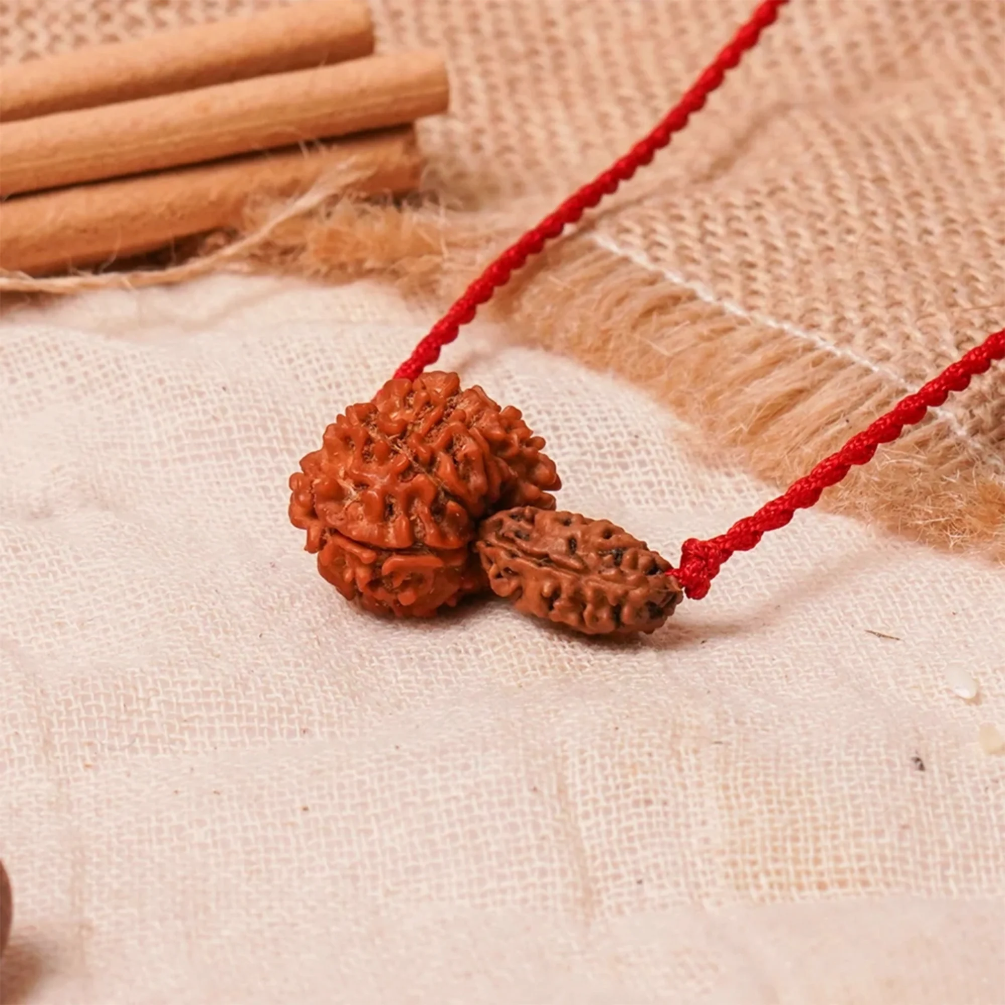 Chandra-Ketu Kavach – 2 & 9 Mukhi Nepali Rudraksha — Nepal photo 4