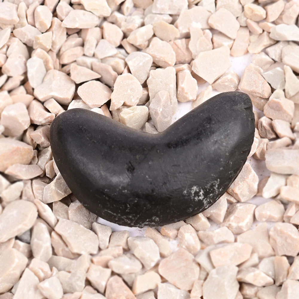 Chandrika Laxmi Shaligram Shila — view 4