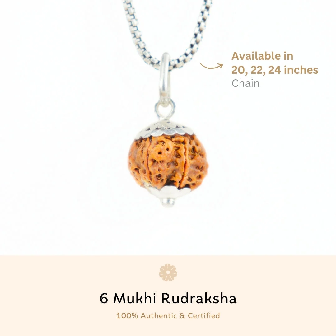 6 Mukhi Rudraksha Silver Capping Pendant ( Nepali ) — Nepal photo 3