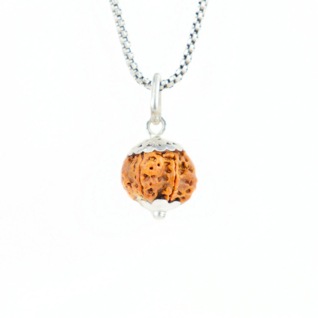6 Mukhi Rudraksha Silver Capping Pendant ( Nepali )