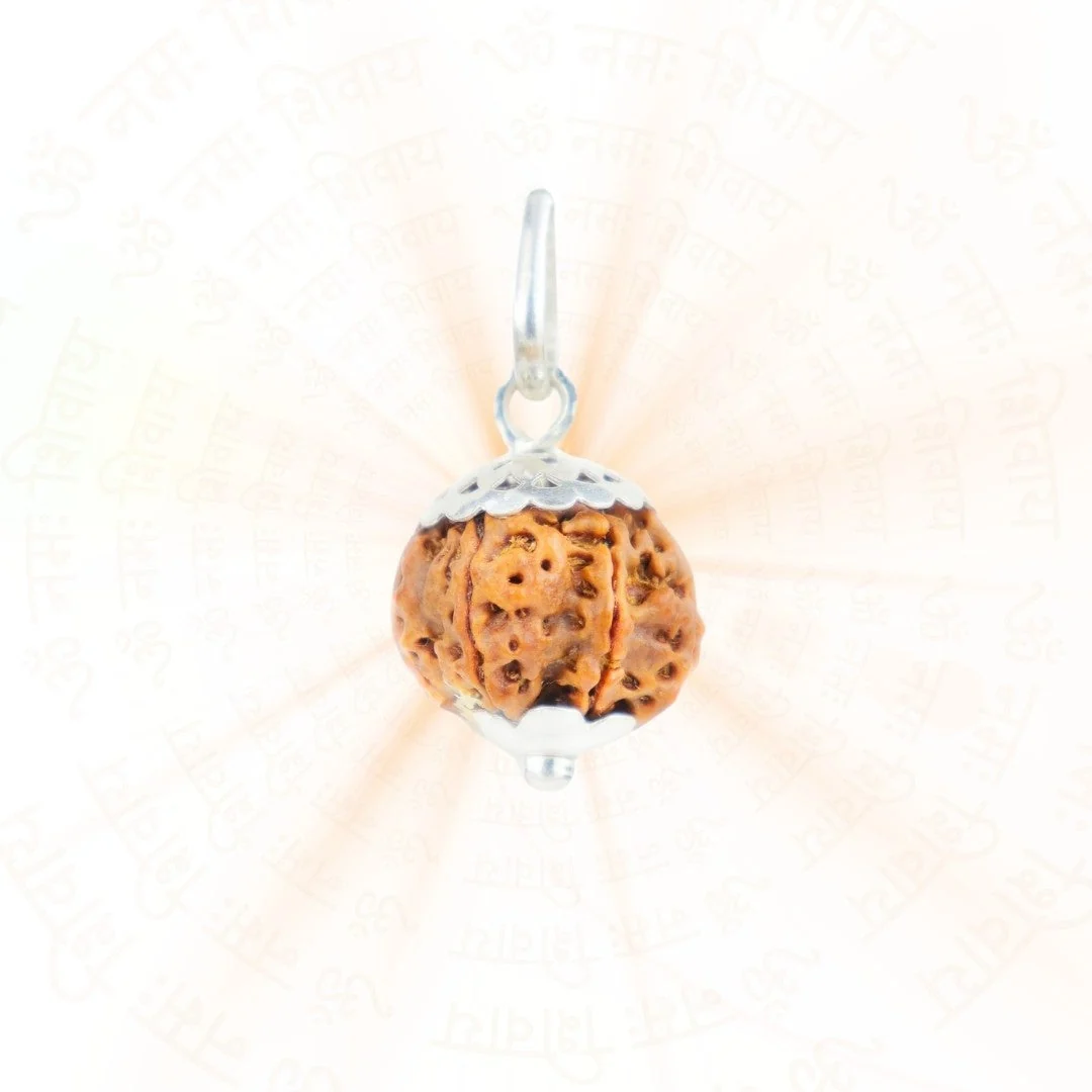 6 Mukhi Rudraksha Silver Capping Pendant ( Nepali ) — Nepal photo 2