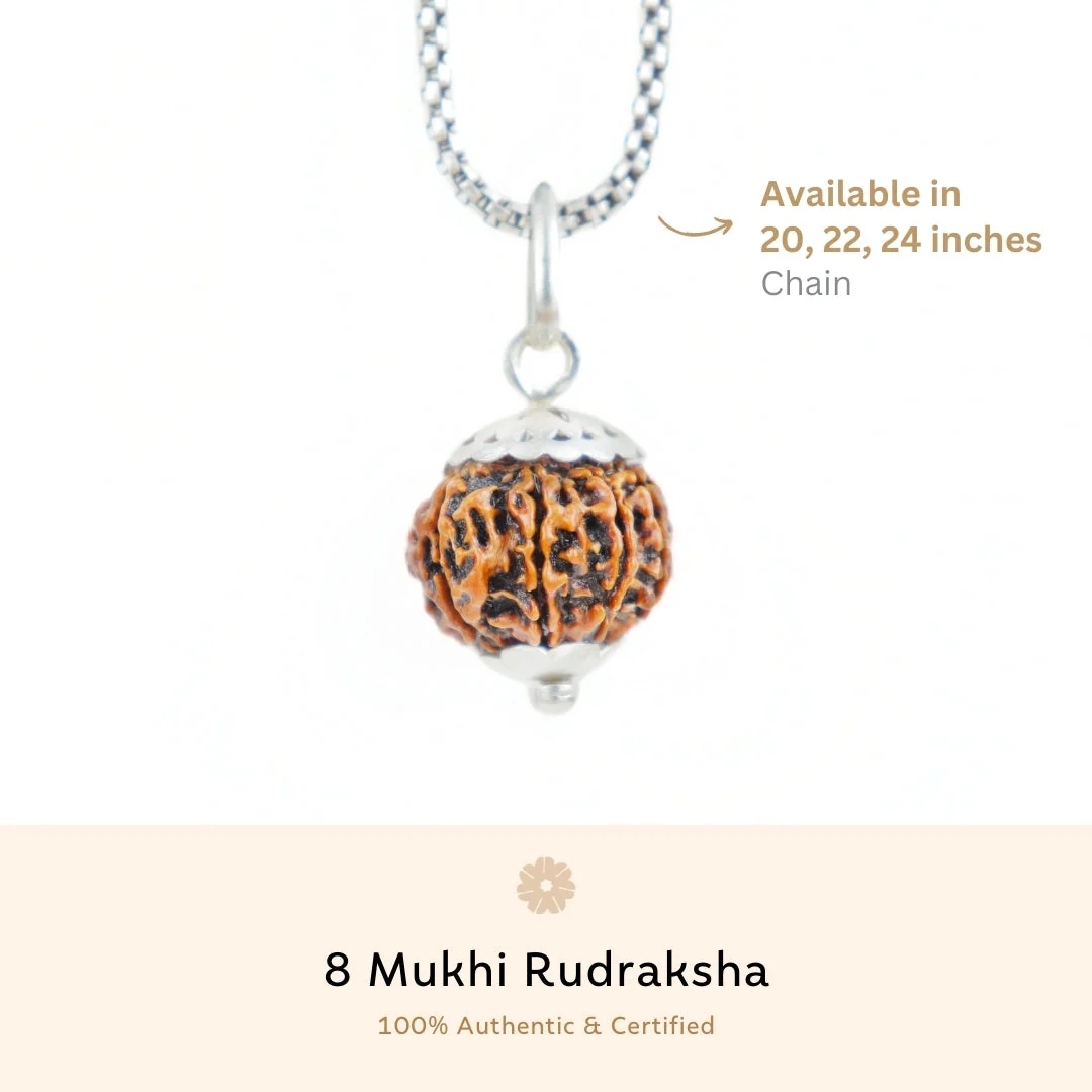 8 Mukhi Rudraksha Silver Capping Pendant ( Nepali ) — view 3