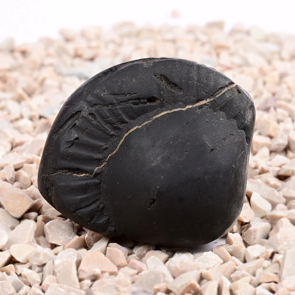 Radha Krishna Shaligram Shila — 96 g