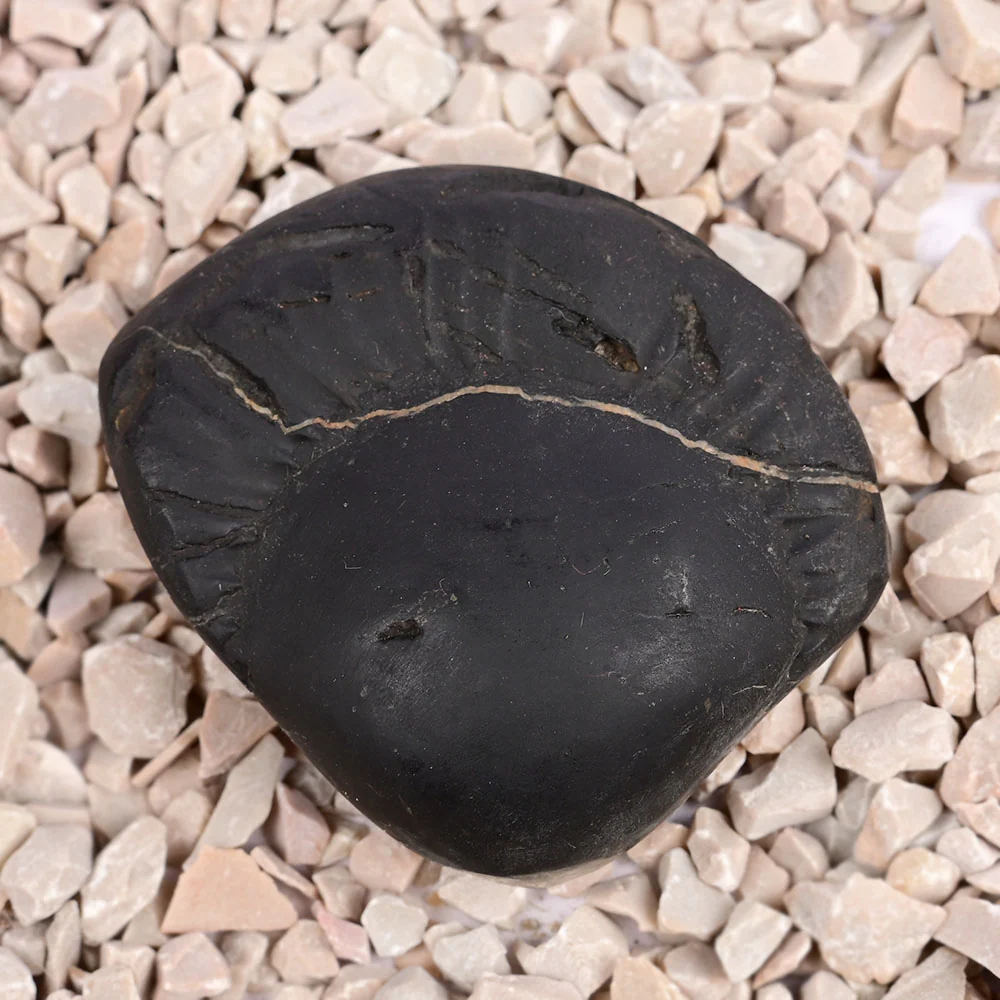 Radha Krishna Shaligram Shila — 96 g — view 2