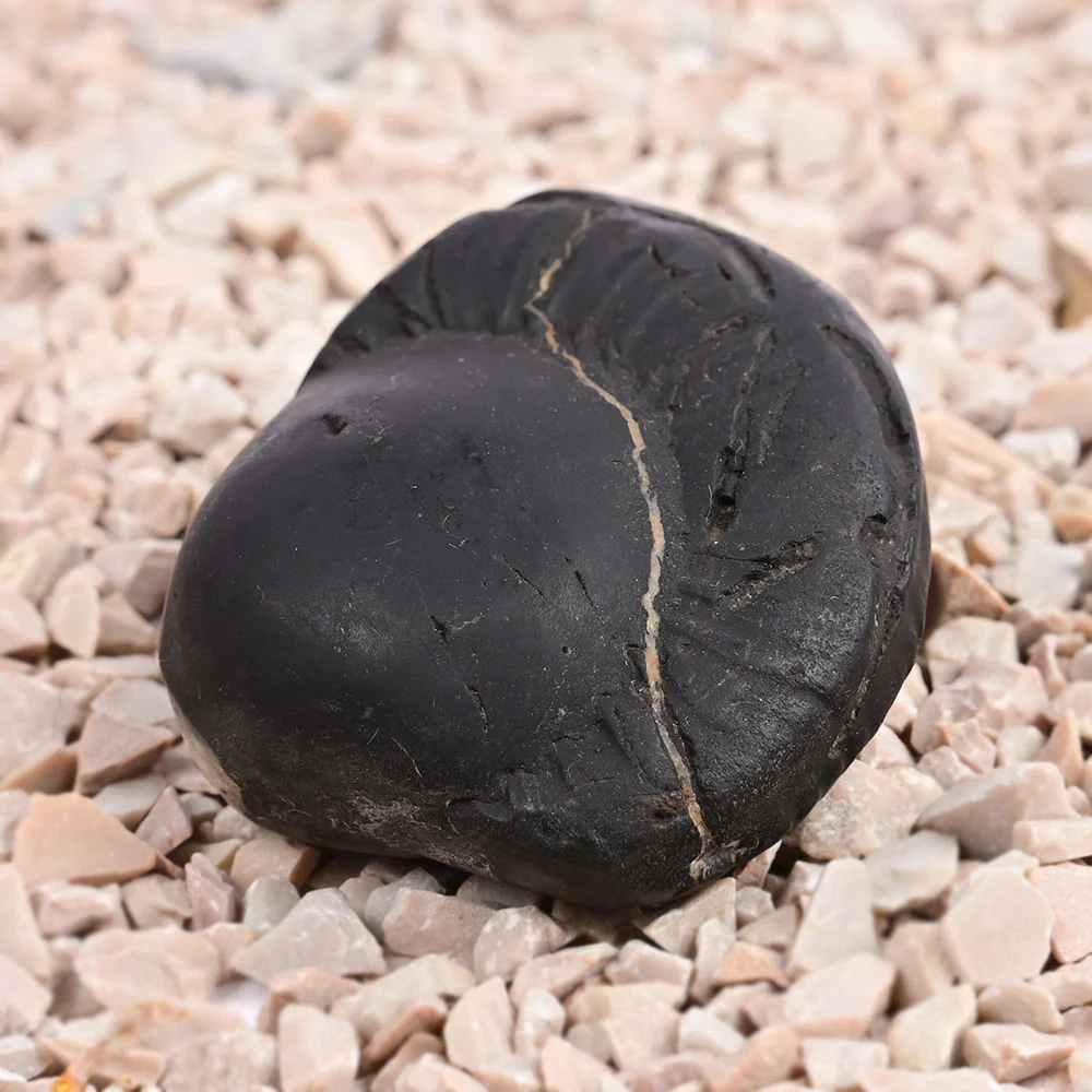 Radha Krishna Shaligram Shila — 96 g — view 3