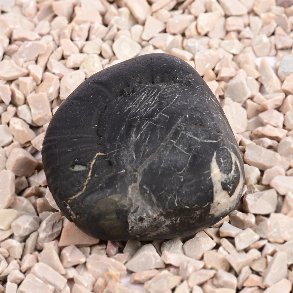 Radha Krishna Shaligram Shila — 96 g — view 4