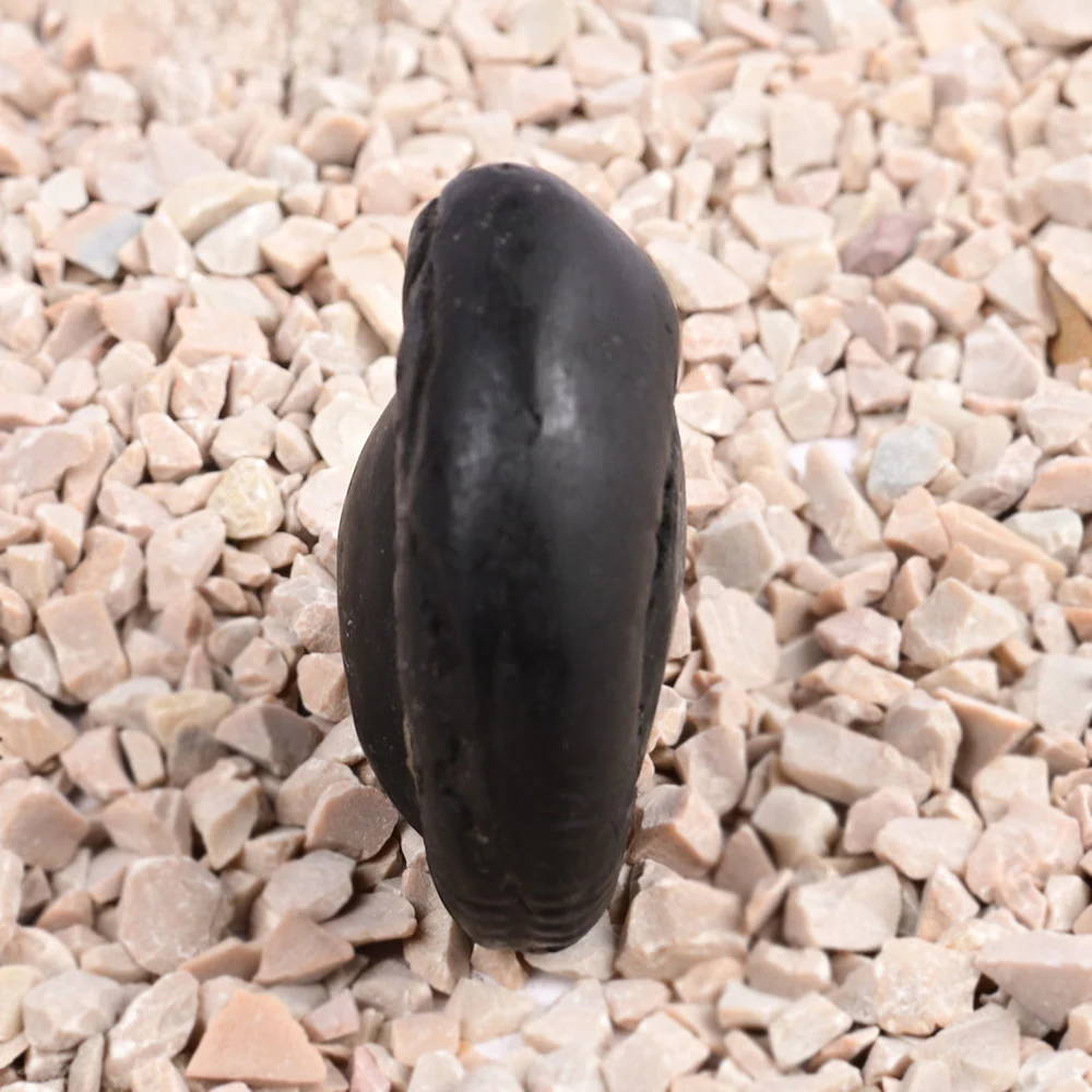 Radha Krishna Shaligram Shila — 96 g — view 5