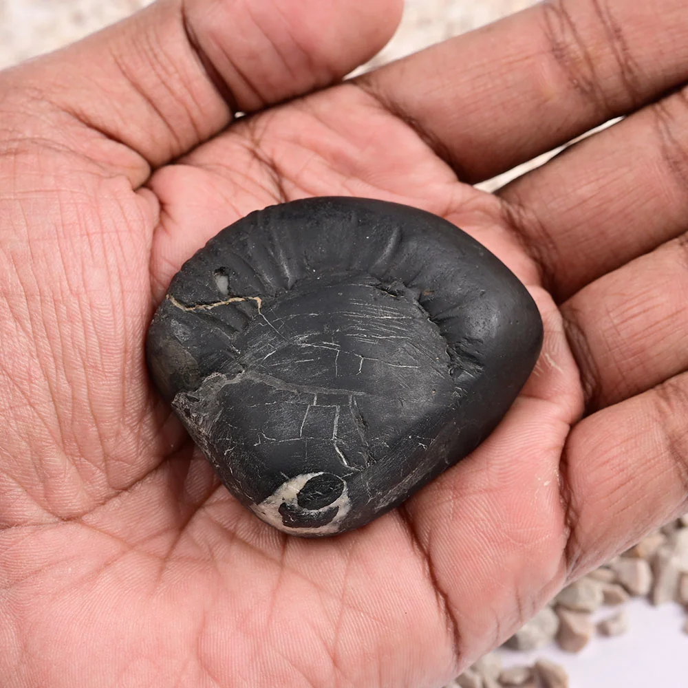 Radha Krishna Shaligram Shila — 96 g — view 6