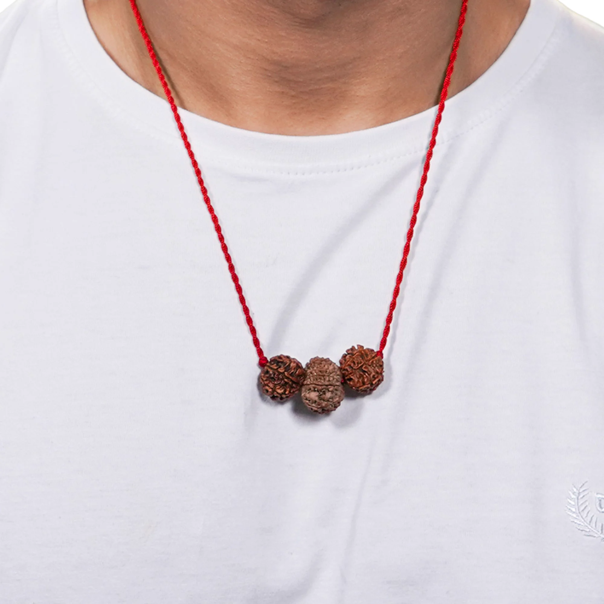 Vyapar Vriddhi Kavach – 7, 8 & 12 Mukhi Rudraksha — Nepal photo 4