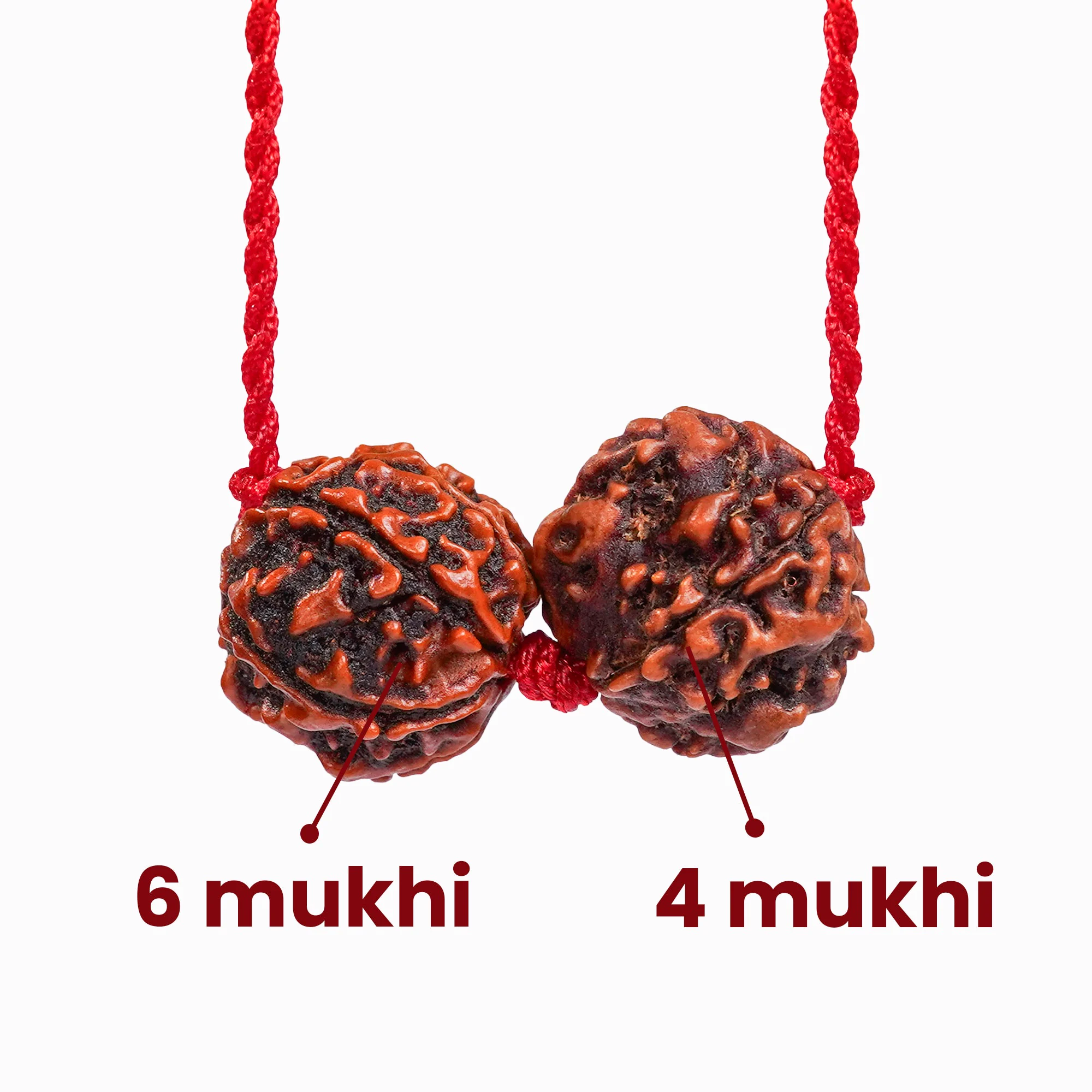 Libra Zodiac Rudraksha Kavach — Nepal photo 3