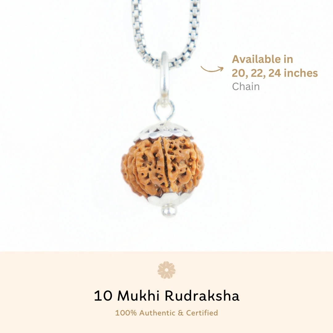 10 Mukhi Rudraksha Silver Capping Pendant ( Nepali ) — Nepal photo 3