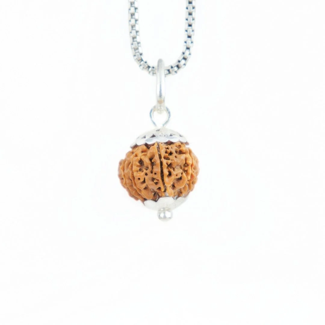 10 Mukhi Rudraksha Silver Capping Pendant ( Nepali )