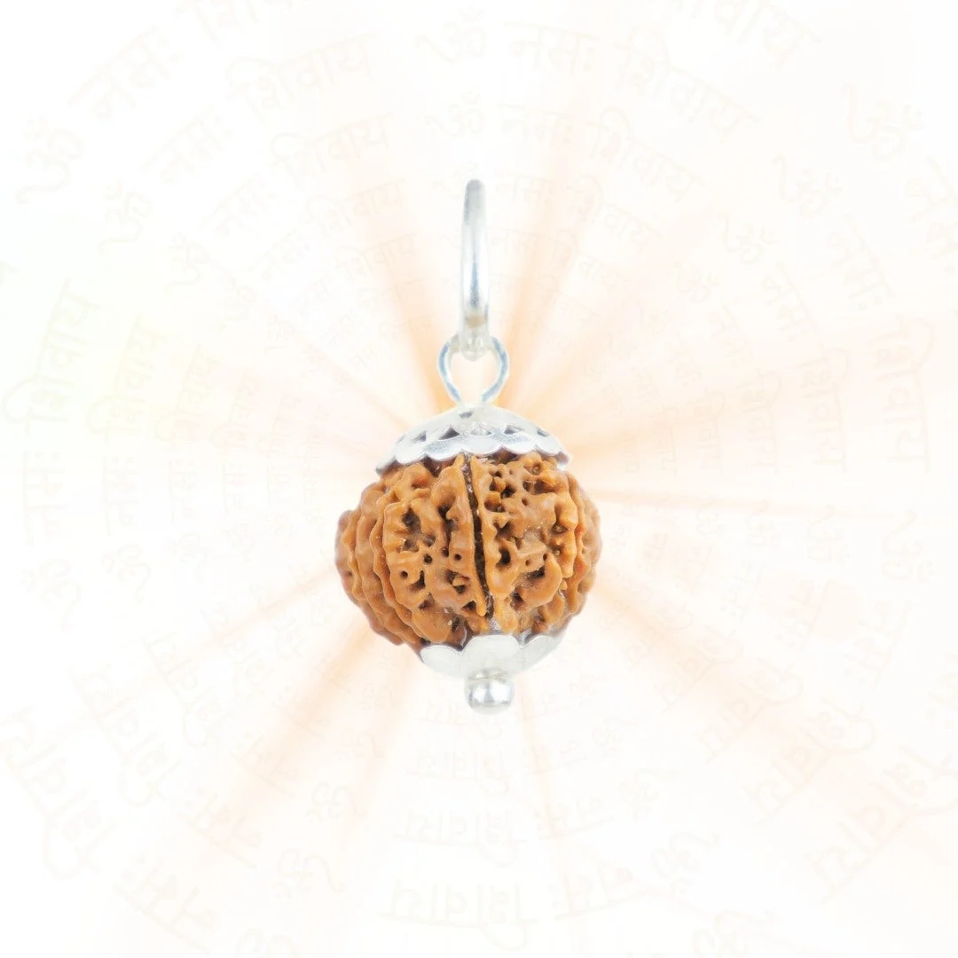 10 Mukhi Rudraksha Silver Capping Pendant ( Nepali ) — Nepal photo 2
