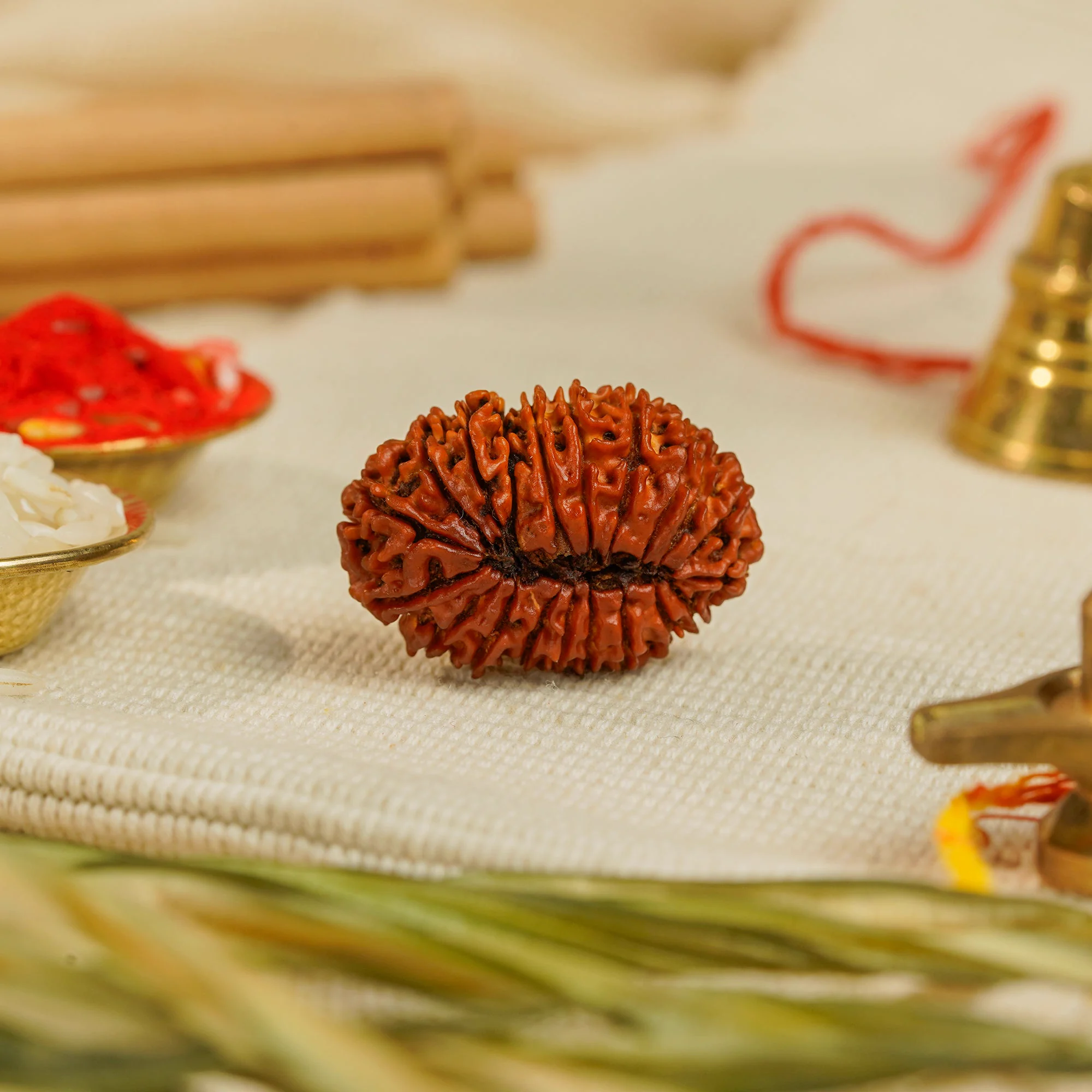 20 Mukhi Rudraksha – Original Nepali Collector Bead — Nepal photo 2