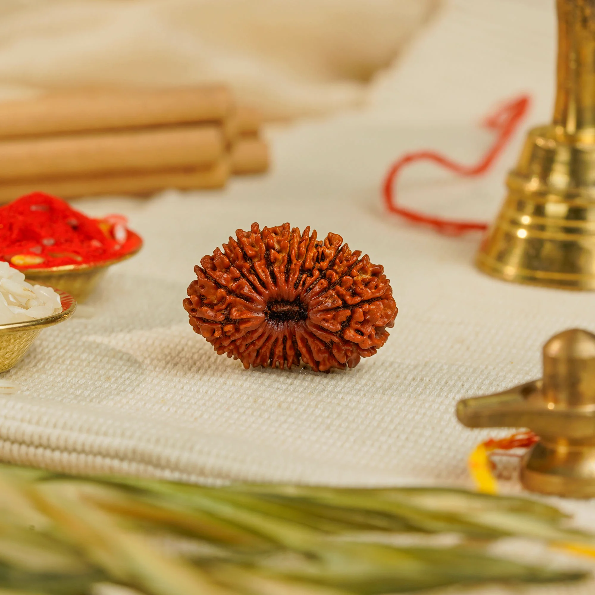 20 Mukhi Rudraksha – Original Nepali Collector Bead