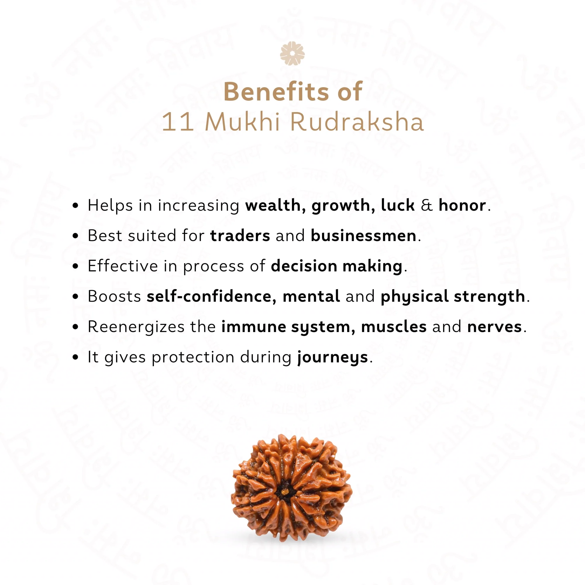 11 Mukhi Rudraksha ( Nepali ) — Nepal photo 3