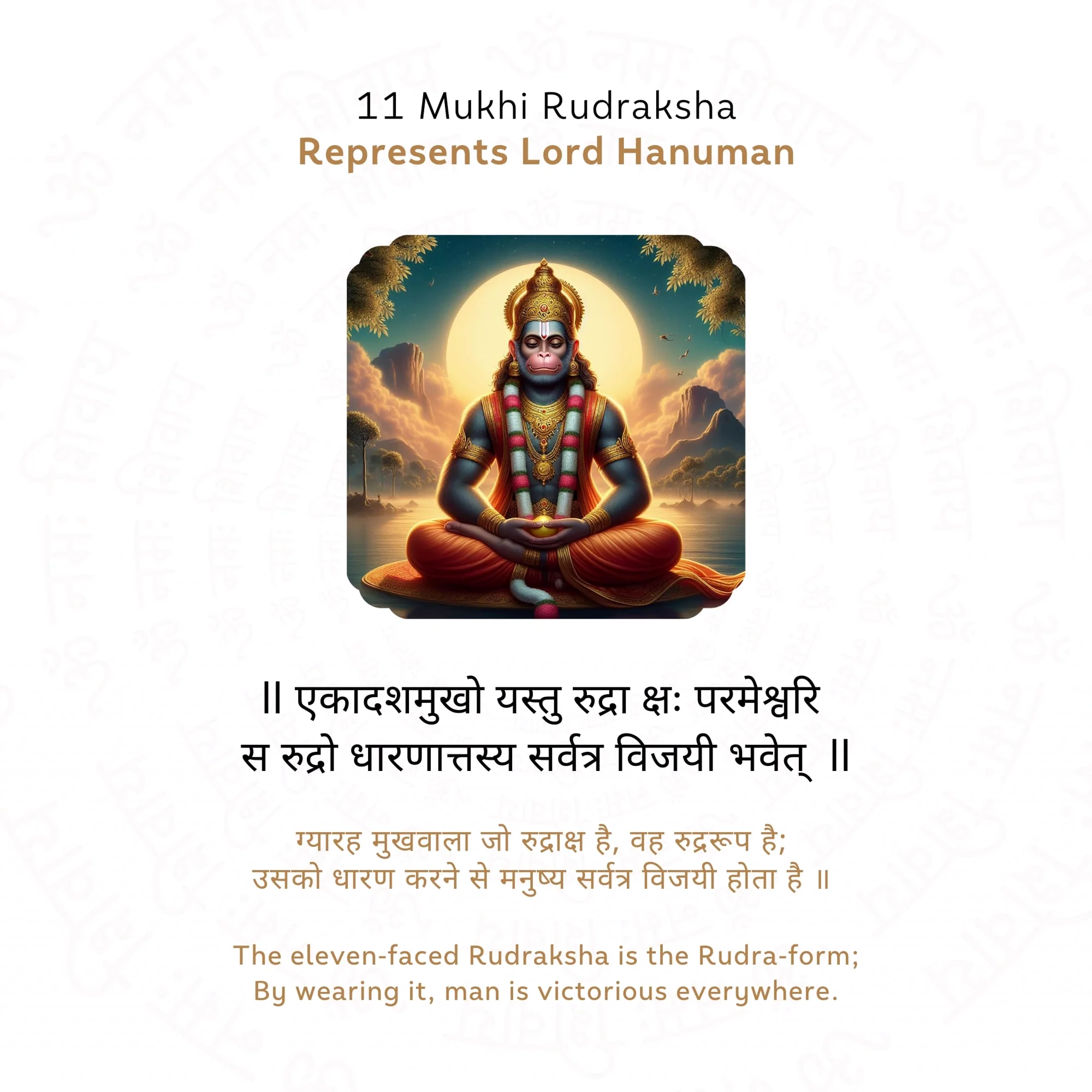 11 Mukhi Rudraksha ( Nepali ) — Nepal photo 4