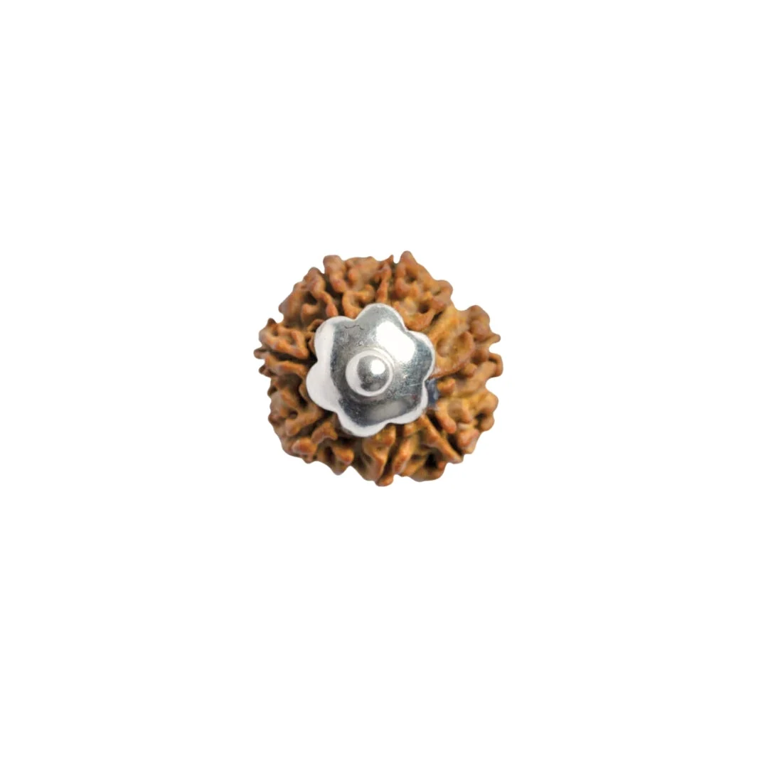 9 Mukhi Rudraksha Silver Capping Pendant ( Nepali ) — Nepal photo 4