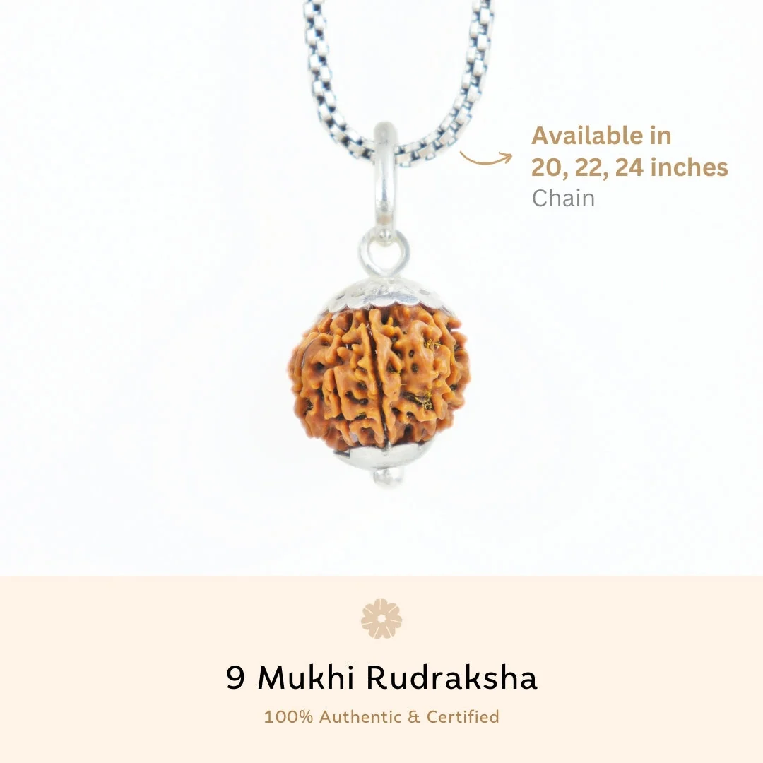 9 Mukhi Rudraksha Silver Capping Pendant ( Nepali ) — Nepal photo 3