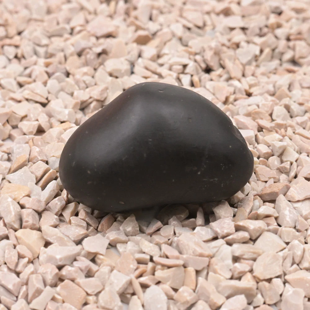 Laxmi Matsya Shaligram Shila — view 4