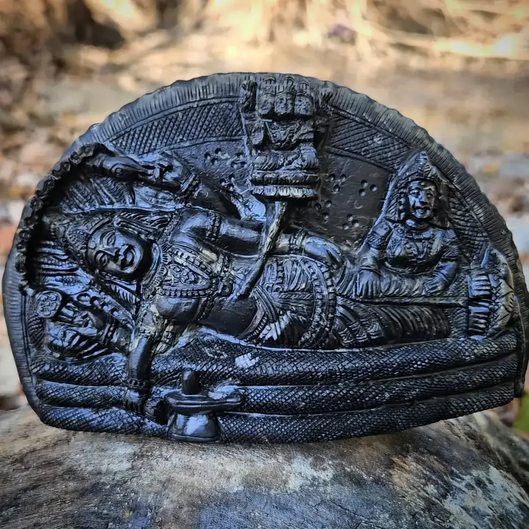 Padmanabha Swamy Shaligram Murti