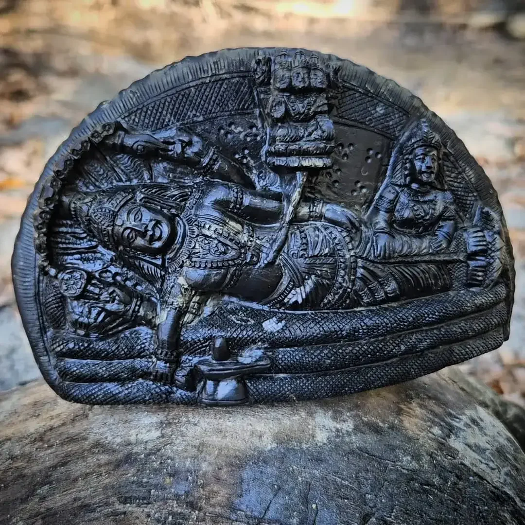 Padmanabha Swamy Shaligram Murti — view 2
